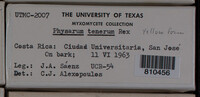 Image Associated With the Occurence